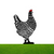 Chickle™? | The cheerful chicken design for your garden 