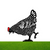 Chickle™? | The cheerful chicken design for your garden 