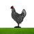 Chickle™? | The cheerful chicken design for your garden 