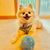 FetchFrenzy™? | The Magic Ball for Interactive Play with your Pet!