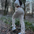 Nicki™ | Elevate your style with these Trendy Cargo Pants 